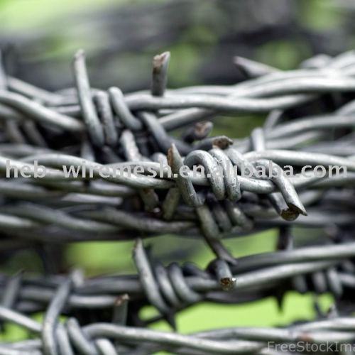 pvc barbed wire mesh search all products(10*12)