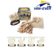 Sml. Dino Skull w/poly base, 4 assorted.