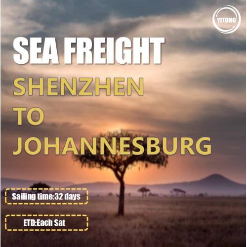 Freight di mare da Shenzhen a Johannesburg Sudafrica