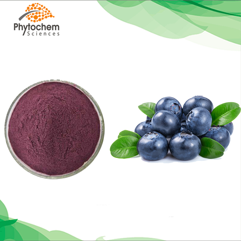 25% anthocyanidins natural european bilberry extract