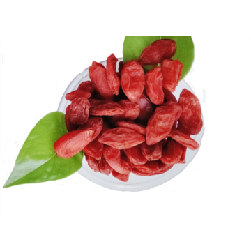 Organic   New crop  Goji berry/wolfberry