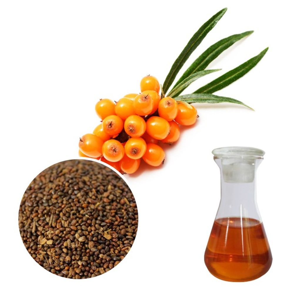 Precio al por mayor 100% Natural Organic Natural Sea Buckthorn Aceit de semillas