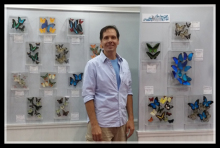 clear acrylic specimen box for butterfly,hanging acrylic butterfly shadow box