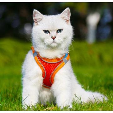 Harness Anjing Lembut, Pabrik Anjing Kustom Pabrik