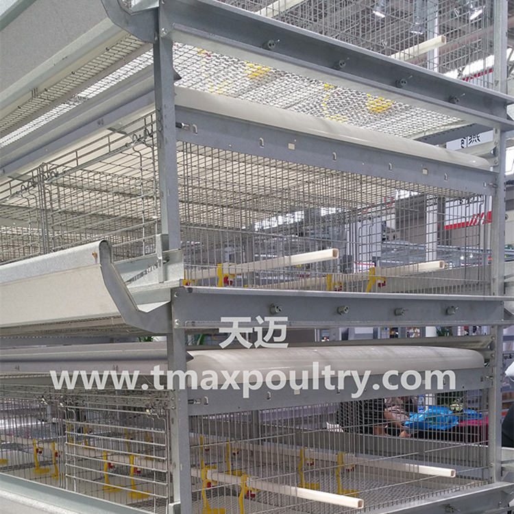 Broiler cage system