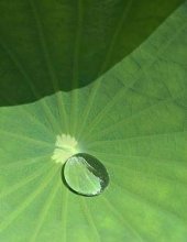 Hydrophobic Water Repellent Self Cleaning Coating