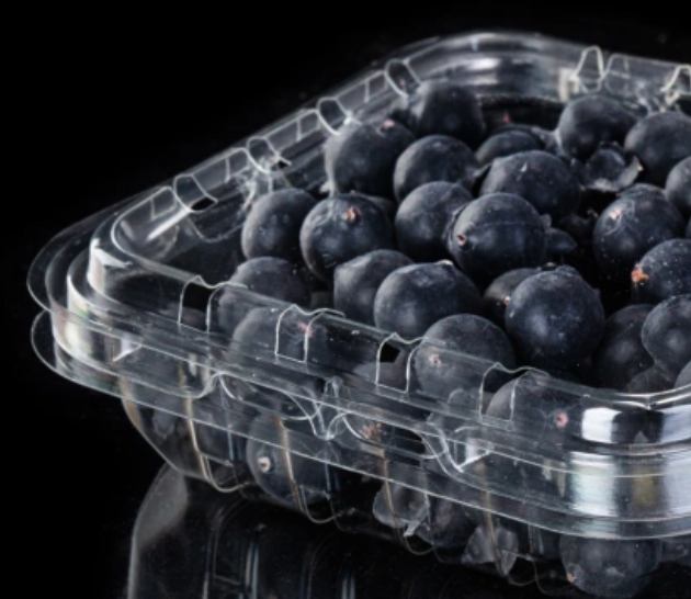 Plastic Clamshell Packing Box For Blueberry