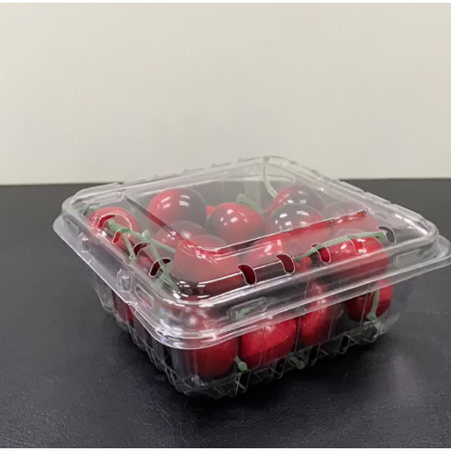 Petite boîte d'emballage de fruits frais en plastique