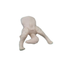 Dog bladder puncture model