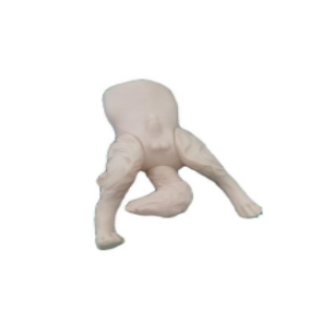 Dog bladder puncture model