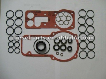 Injection pump repair kit