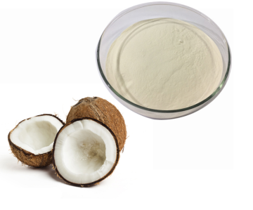 Best Selling Freeze Dried Desicated Coconut Cream Powder