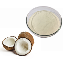 Best Selling Freeze Dried Desicated Coconut Cream Powder