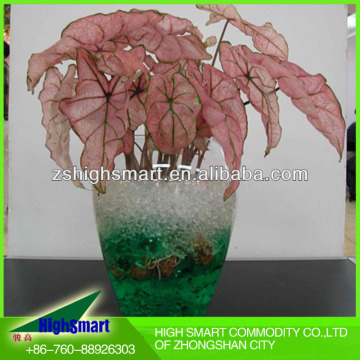 water magic flower balls (rainbow clay,crystal soil)