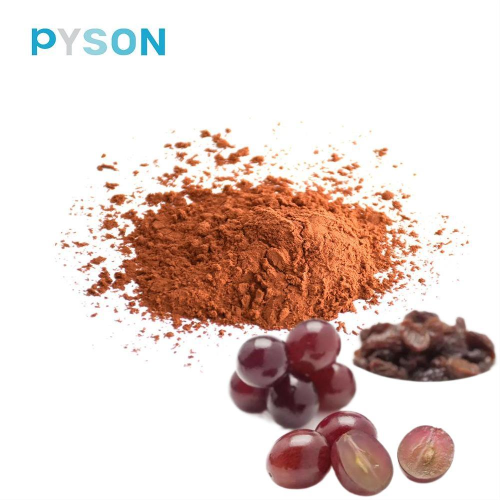 Grape Seed Extract European standard