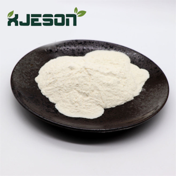 Boost Immunity Yeast Beta Glucan Powder