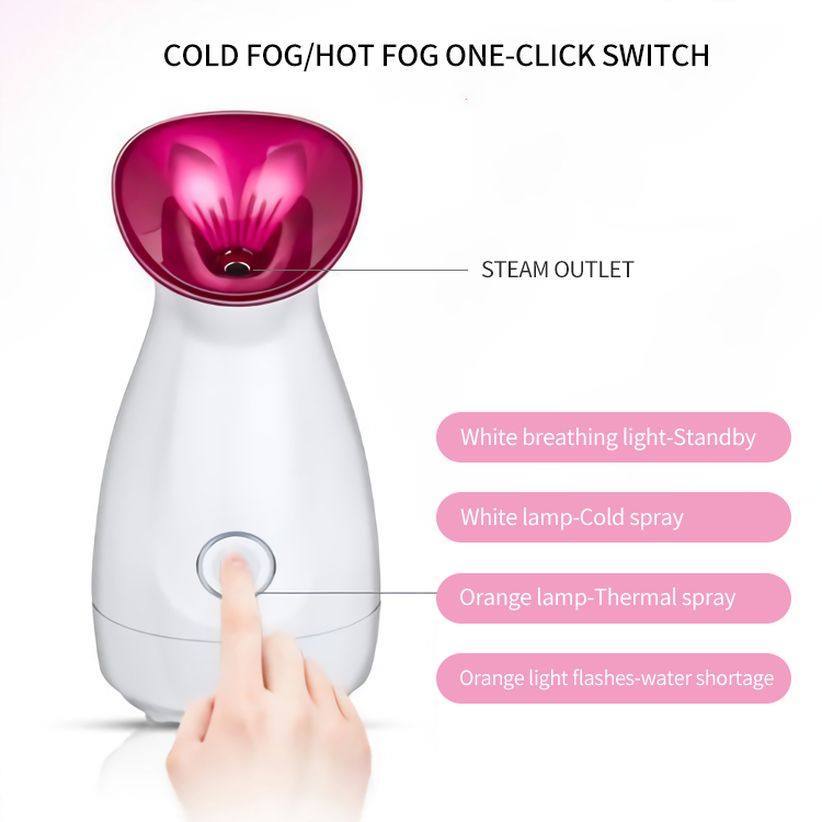 Environmentally Friendly Facial Steamer Environmentally Friendly Facial Steamer