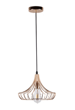 Modern metal Simple Design Pendant Light