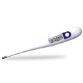 Digital Thermometer(Waterproof)