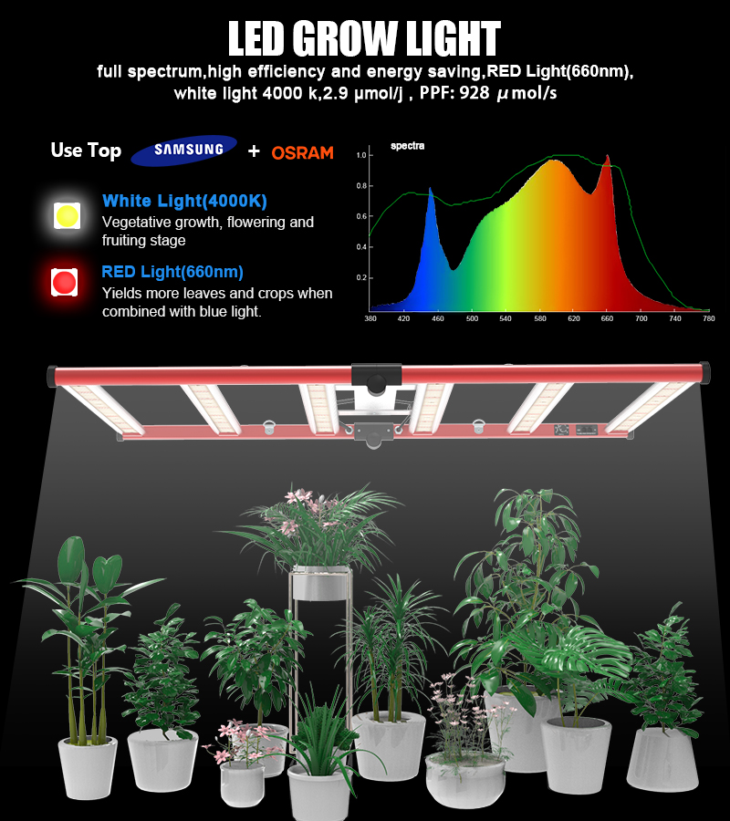 Bästa billiga 320W solljusspindel LED Grow Light