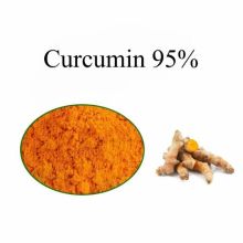 Curcuminoids Curcumin Hot Sale Pure Powder Curcumin 95%