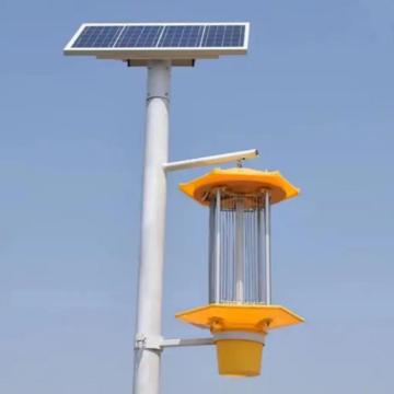 solar mosquito lamp insect killers