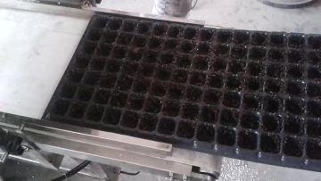 farm machine grain seeder for planting corn