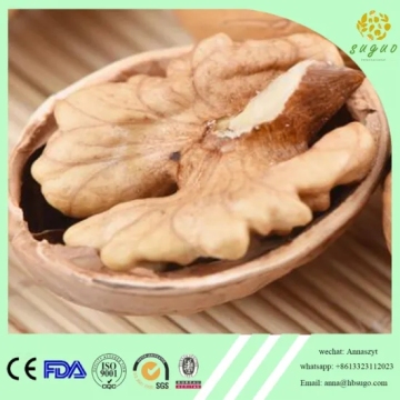 Walnut Inshell Easy Cracked 28mm Up