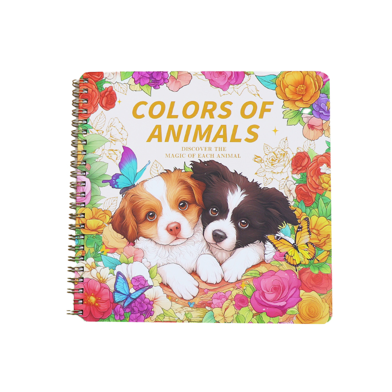 ซี65 (3) c65 (3)