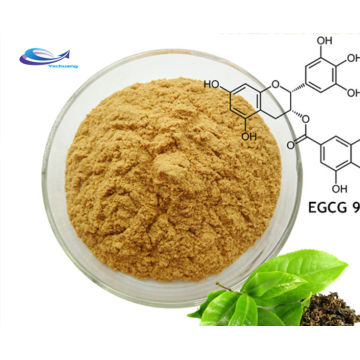 Extracto de polvo de rizoma de curcuma longa polvo de cúrcuma