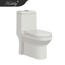 Bathroom Design: One Piece Ceramic Toilets