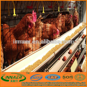 poultry raising equipment for chicken (ISO9001 manufacturer)