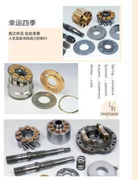 hydraulic piston pump parts/components