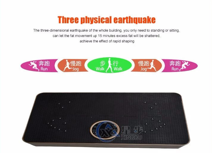 China small vibration plate crazy fit massage shaking belt machine / 3d fitness machine slimmer shaking with 99 speed