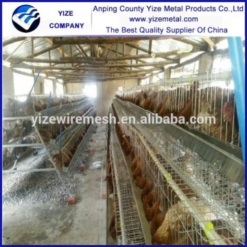 poultry battery cage for nigerian farm/construction of poultry cage