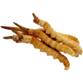 Cordyceps Mycélium Poudre Polysaccharide 50% UV