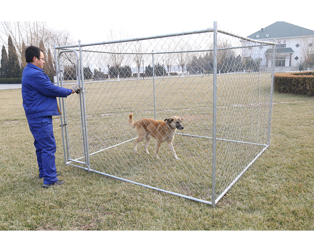Le chenil The Dog Kennel