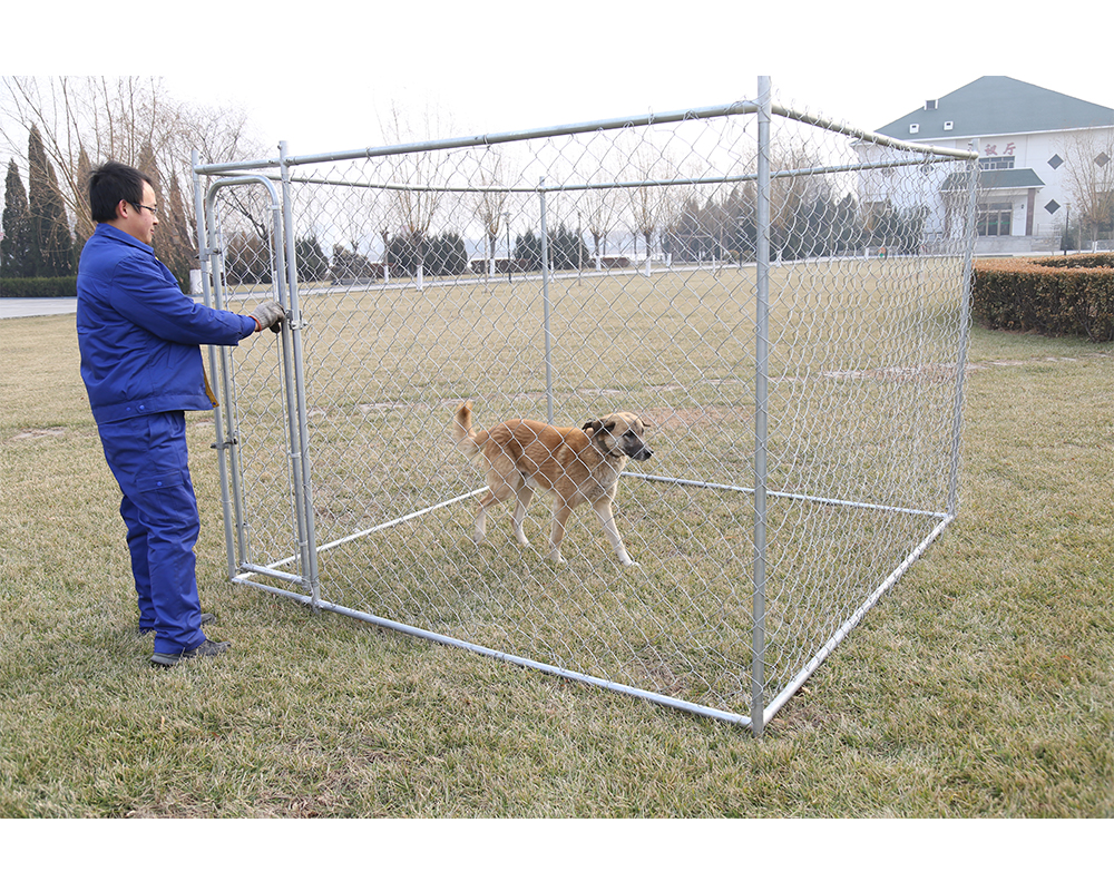 Outdoor Dog Kennel