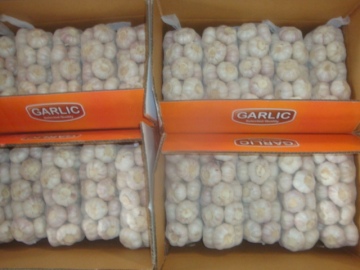 Normal White Garlic packed 1Kg 10bags Carton