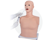 Nasal Feeding & Gastric Lavage Model