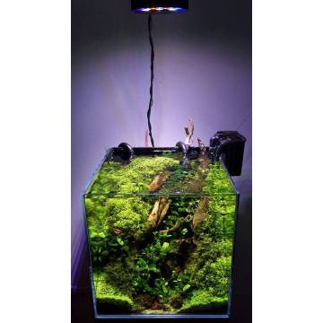 Akuarium LED Light Coral Reef Saltwater Wifi air tawar