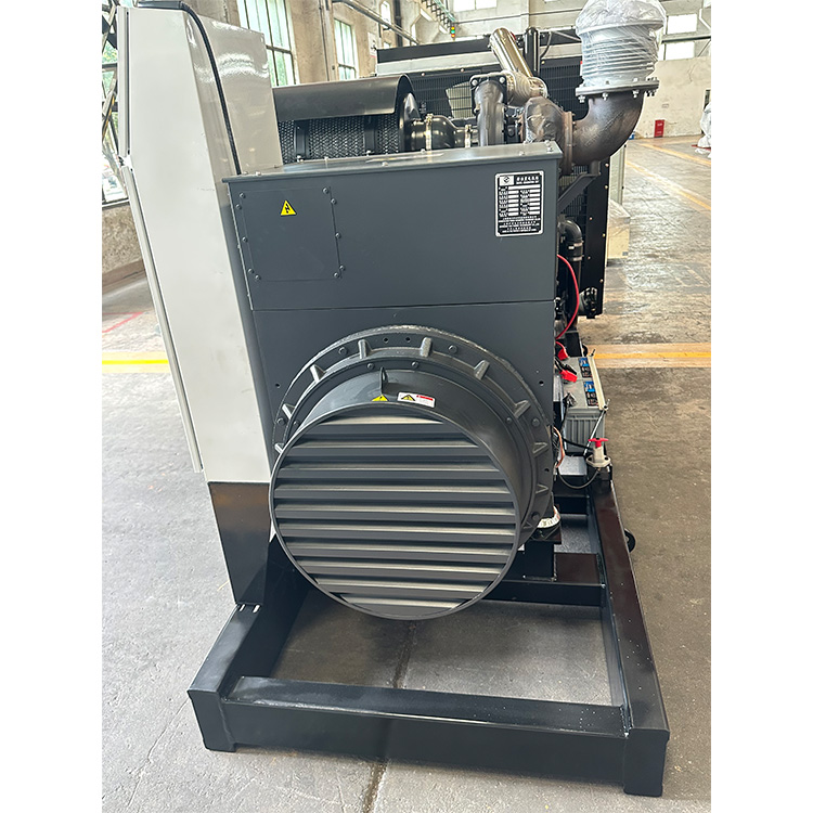 1000 Kva generator