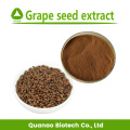 Extrato de semente de uva em pó Procianidina OPC 95% 4852-22-6
