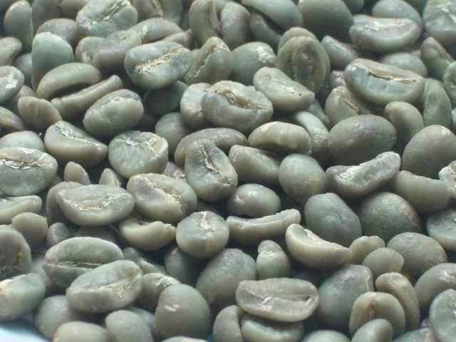 Grains de café vert cru Arabica