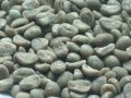 Arabica Surowe zielone ziarna kawy