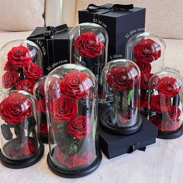 Wholesale Customized Everlasting Preserved Roses XL Large for Gifts