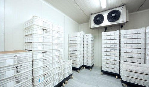 milk-cold-storage-room