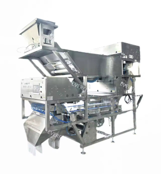 Automatic Fresh Dates Grading Machine