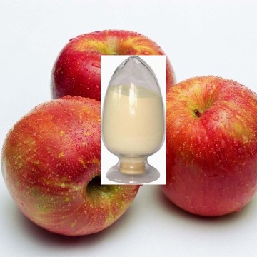 extract powder apple polyphenols