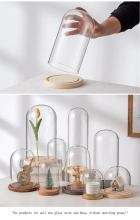 High Quality Transparent Glass Dome